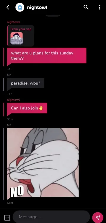 A direct message conversation in Yappit.
